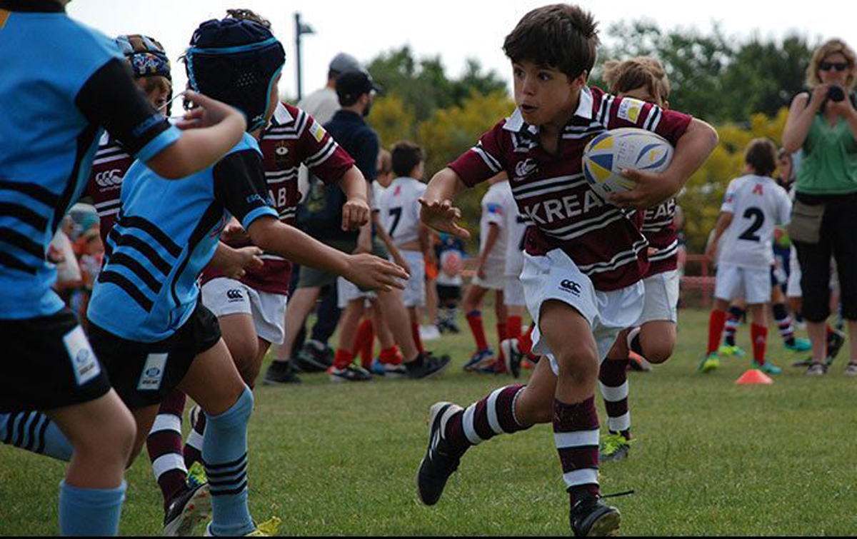 Cómo ser un experto en reglamentación de juego en las escuelas de rugby