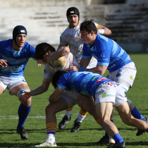 Derbis de Valladolid, C. Valenciana y Madrid en la penúltima jornada de la División de Honor
