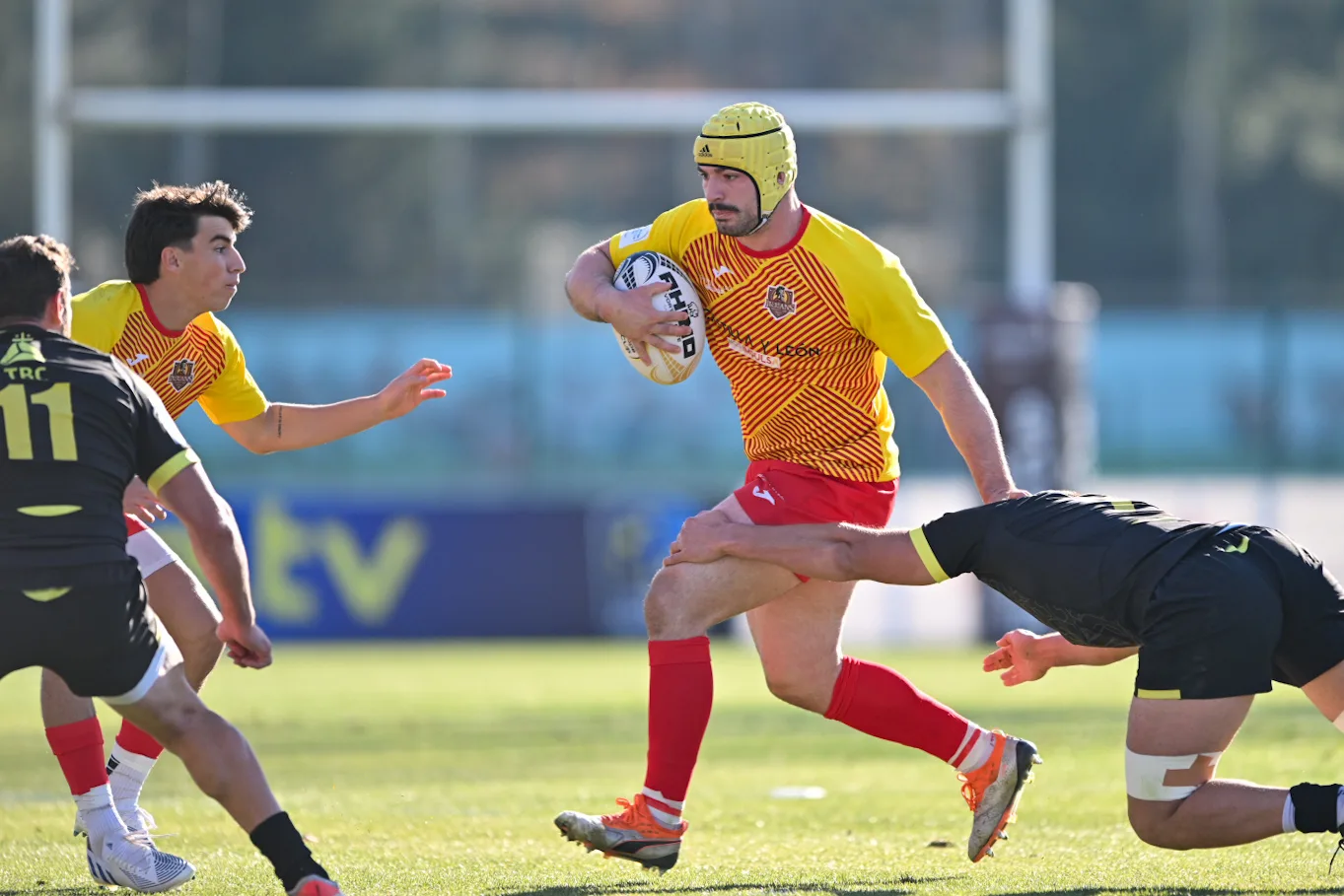 ¡Ya a la venta las entradas para ver a Castilla y León Iberians en la Nueva Balastera!