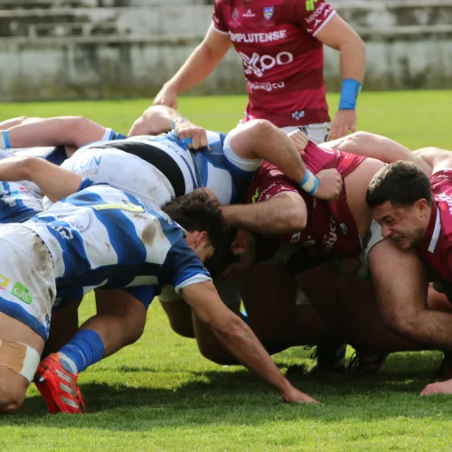 Silicius Alcobendas y Complutense Cisneros, finalistas de la NTT Data Copa del Rey