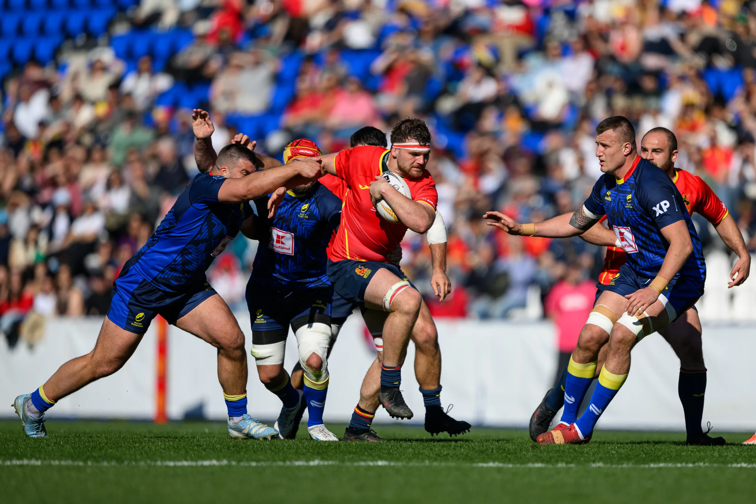 Calendario confirmado para Los Leones en la Nations Cup