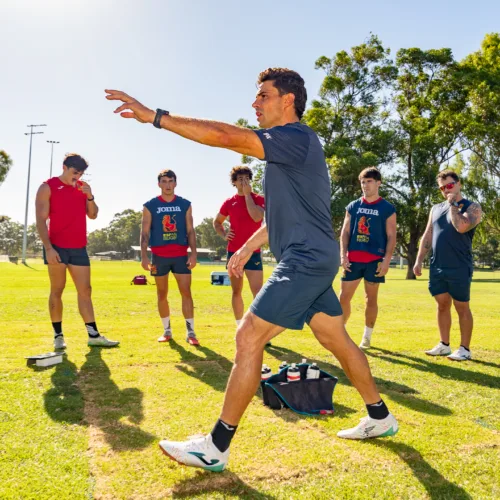 Paco Hernández: “Queremos terminar esta fase regular con mejores sensaciones y más confianza como equipo”