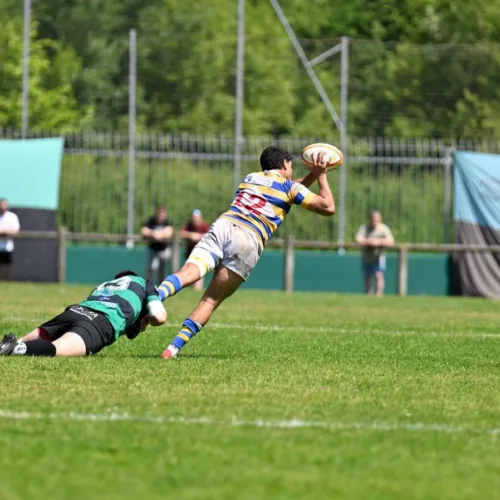 CRC Pozuelo se impone a Torrealday Gernika (19-24) y logra el ascenso a División de Honor
